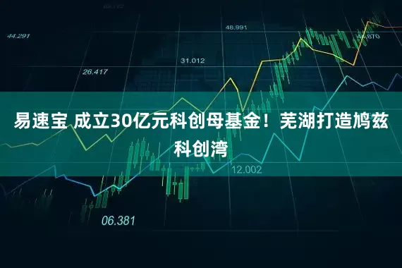 易速宝 成立30亿元科创母基金！芜湖打造鸠兹科创湾