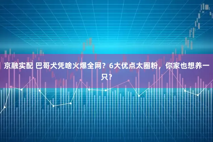 京融实配 巴哥犬凭啥火爆全网？6大优点太圈粉，你家也想养一只？