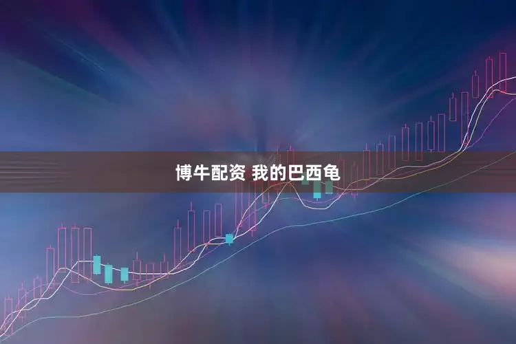 博牛配资 我的巴西龟