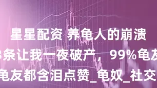 星星配资 养龟人的崩溃瞬间！第3条让我一夜破产，99%龟友都含泪点赞_龟奴_社交生活_真相