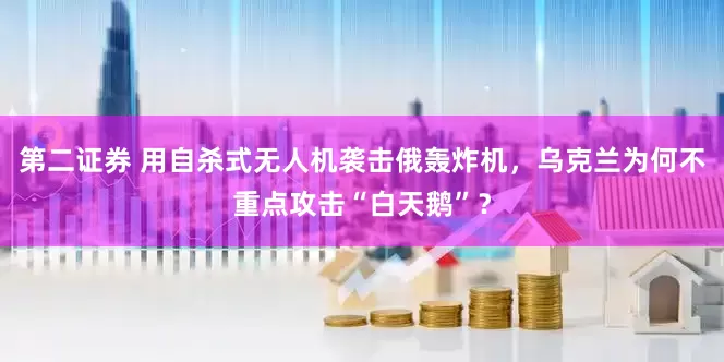 第二证券 用自杀式无人机袭击俄轰炸机，乌克兰为何不重点攻击“白天鹅”？