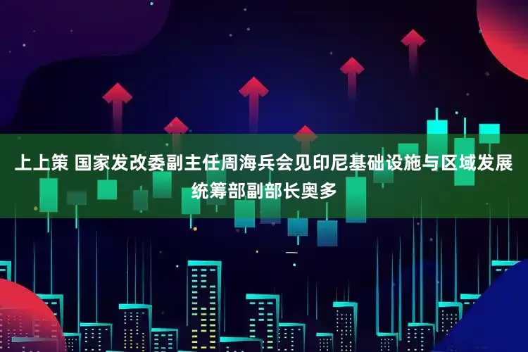 上上策 国家发改委副主任周海兵会见印尼基础设施与区域发展统筹部副部长奥多